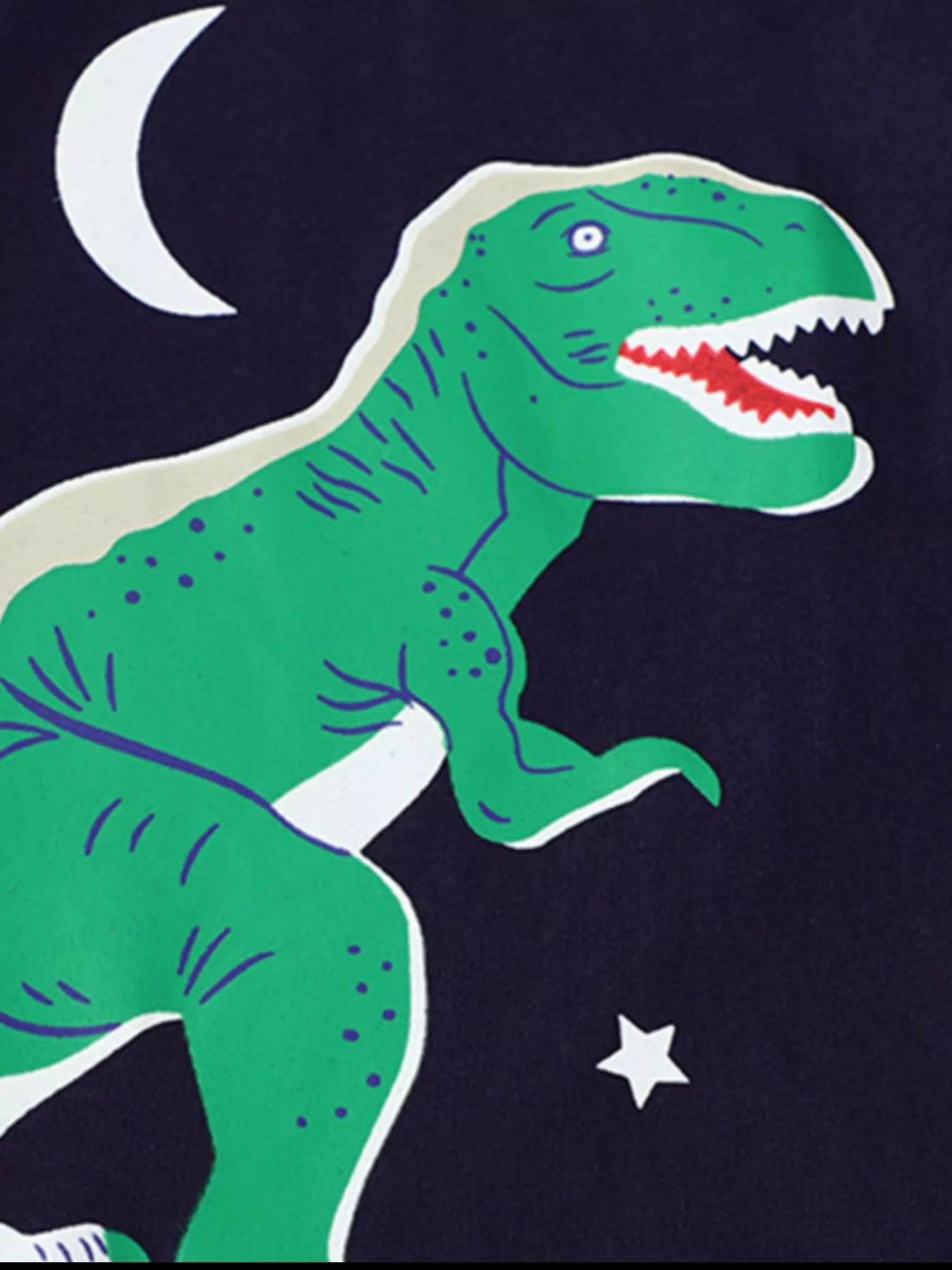 Kids Dinosaur T-Shirt – Soft Cotton Crew Neck Tee for Boys & Girls (Black)