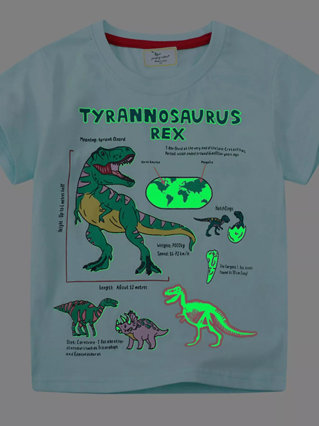 Kids Dinosaur T-Shirt – Soft Cotton Graphic Tee for Boys & Girls (Aqua)